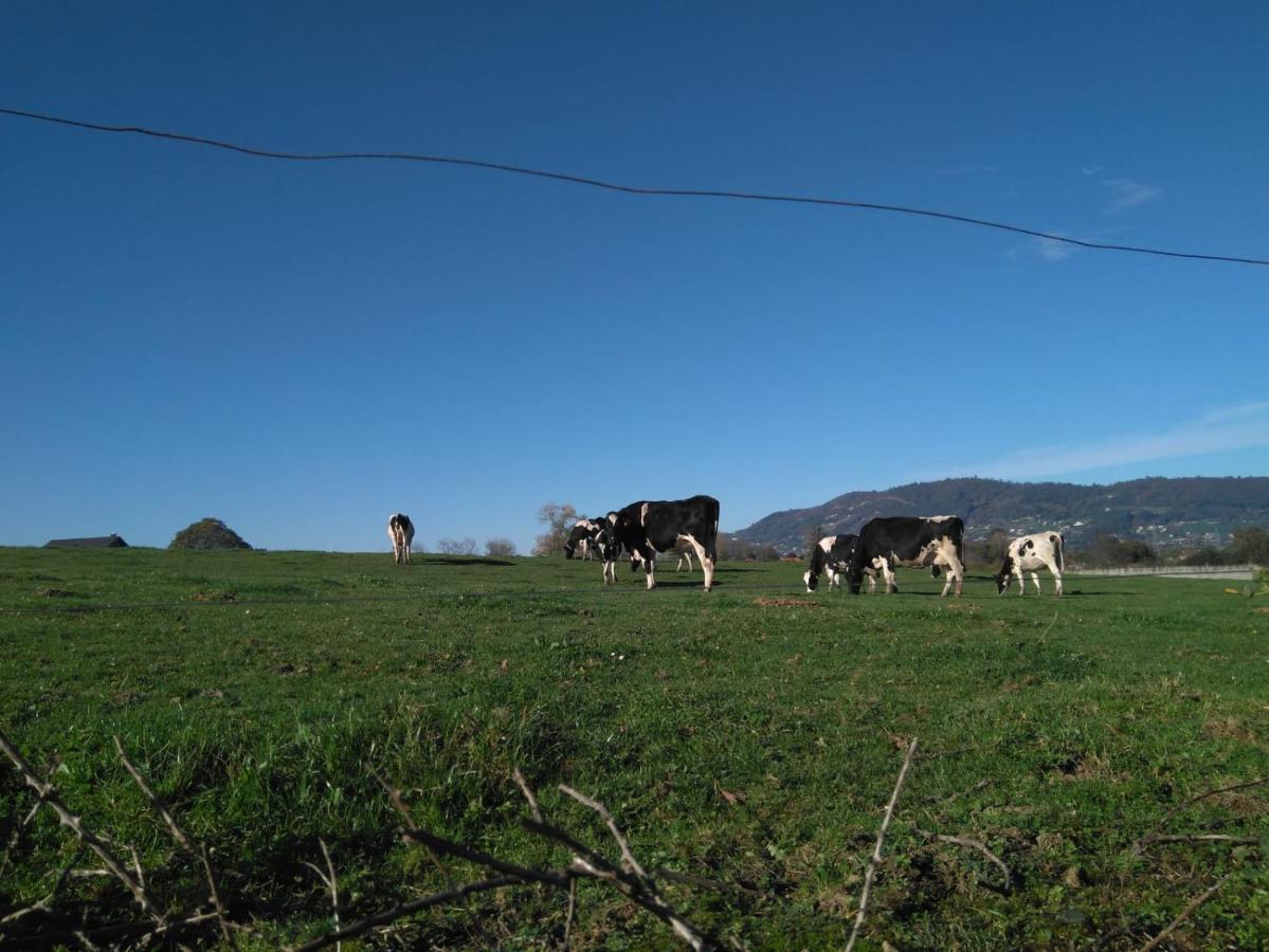 Casa Pepin - Sagasta Rural Oviedoゲストハウス エクステリア 写真
