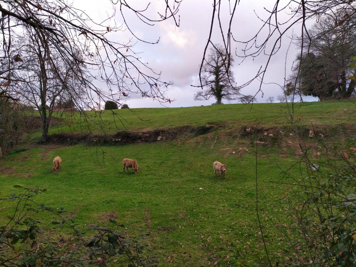 Casa Pepin - Sagasta Rural Oviedoゲストハウス エクステリア 写真